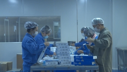 綿陽梓潼 生物醫(yī)藥企業(yè)開足馬力保生產(chǎn) 技術(shù)研發(fā)驅(qū)動(dòng)防疫物資供應(yīng)